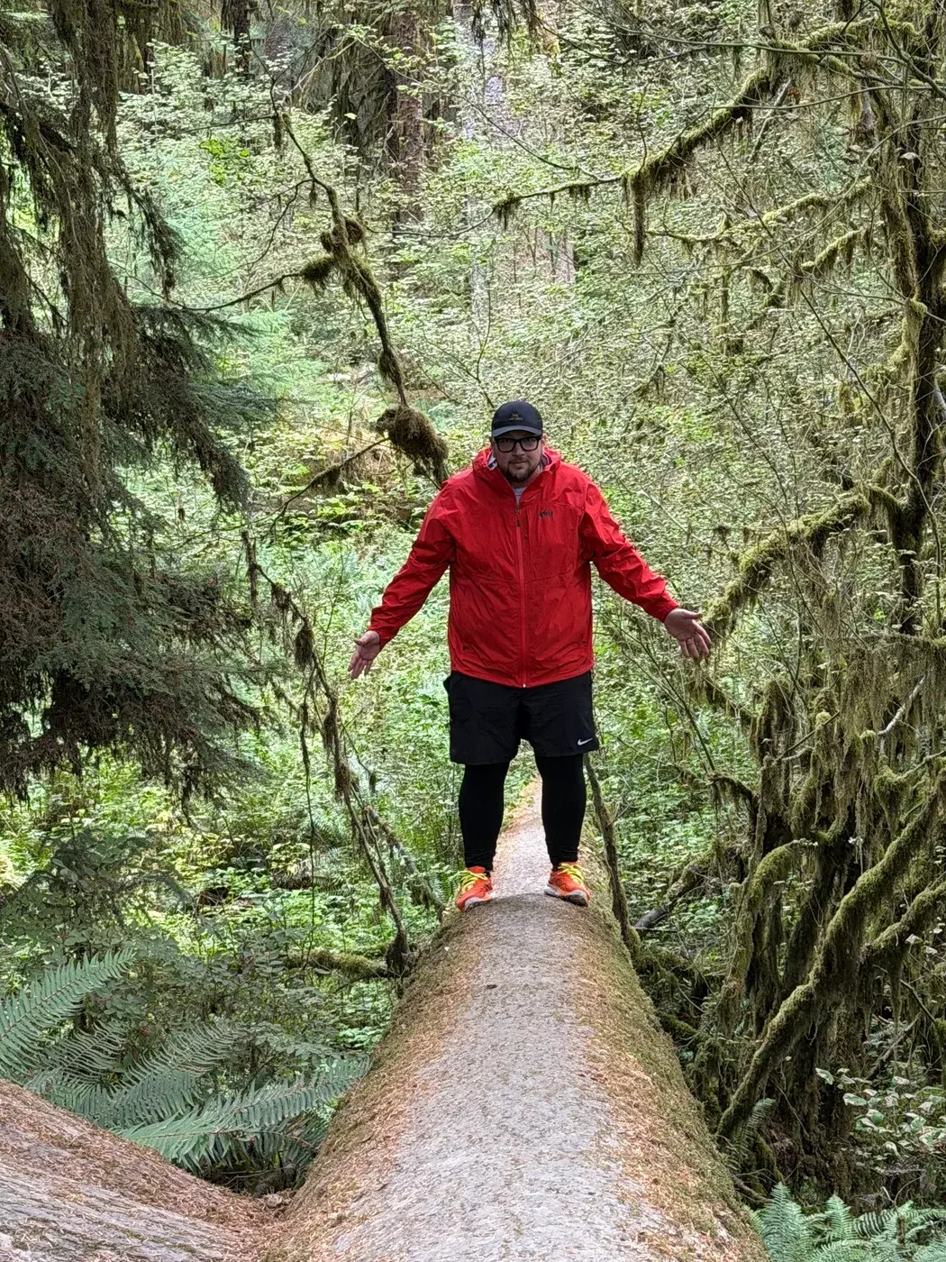 Traveler standing on a fallen log