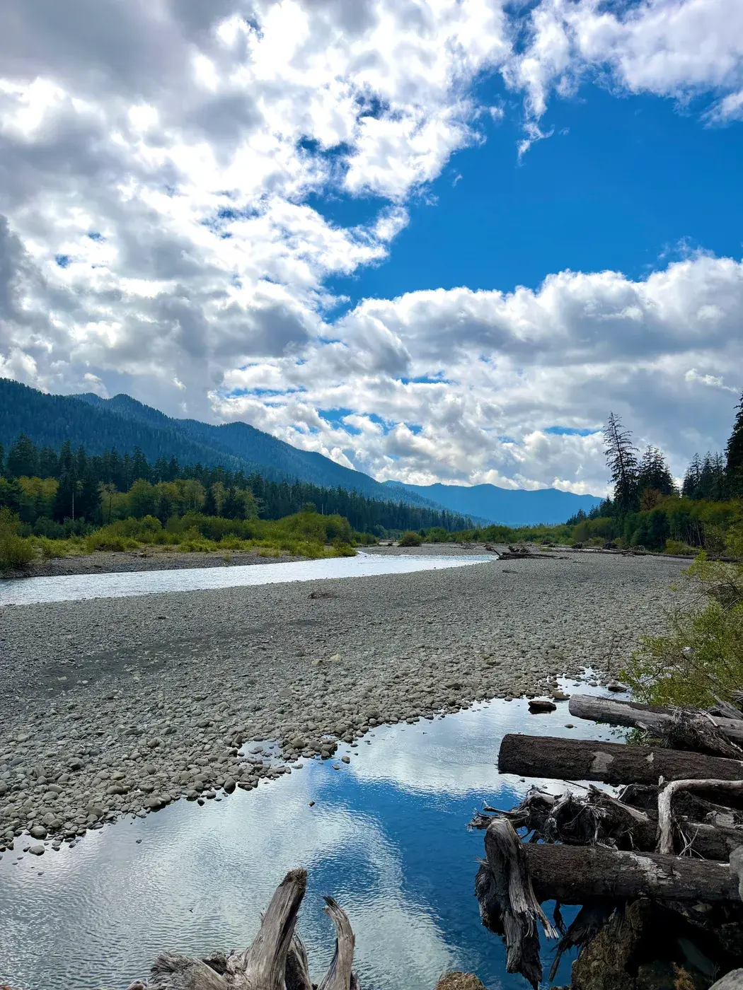 A mountain riverbed