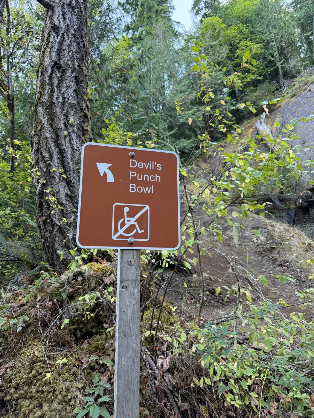 A trail sign