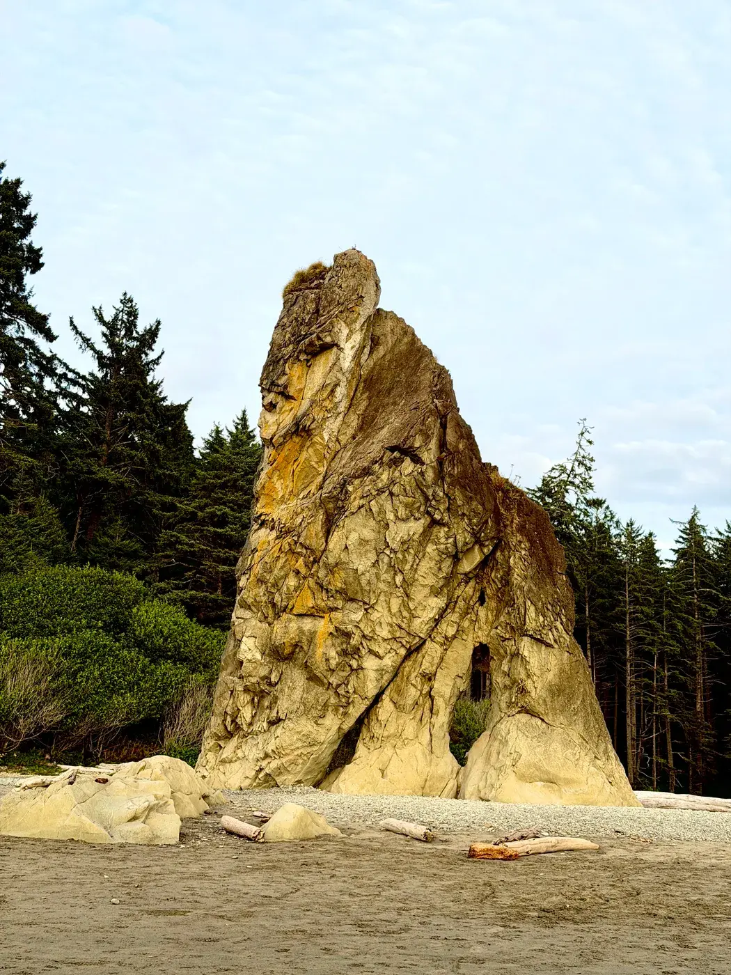 A sea stack on the shore